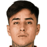 اریک پولگار