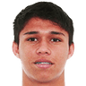Luiz de Araujo Guimaraes Neto