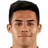 Aravena-Guzman