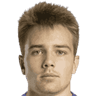 Vladislav Shitov