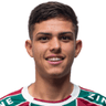 Giovanni-Manson-Ribeiro