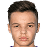 Denis Dizdarevic