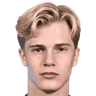 Lucas-Bergvall