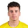 Dries Arfaoui