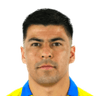 Tomas Alarcon Vergara