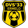 DVS 33