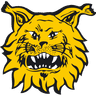 Ilves