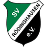 SV Roedinghausen
