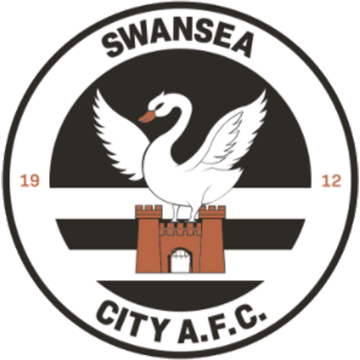 Swansea-City
